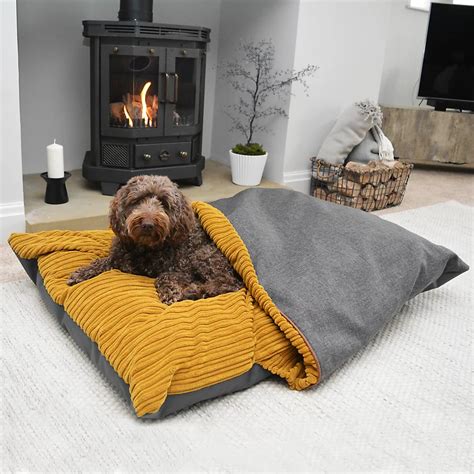 Amazing Burrow Bed For Dogs