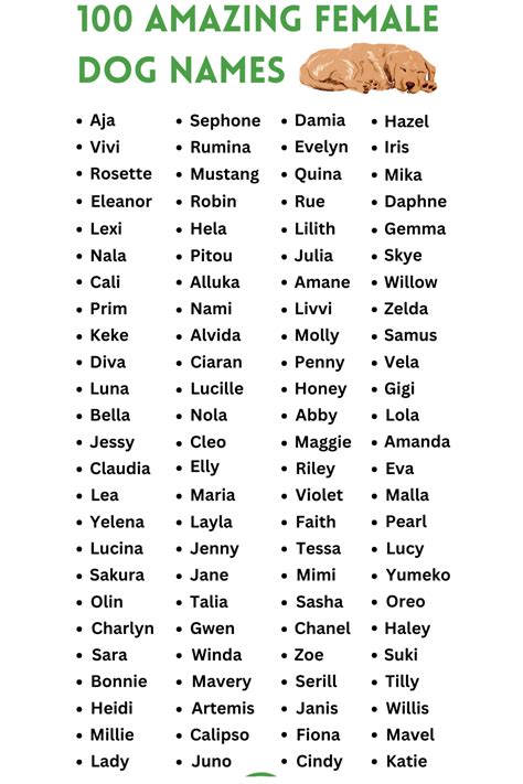 Amazing Cool Female Dog Names