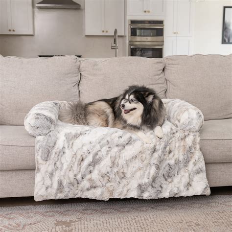 Amazing Couches For Dogs