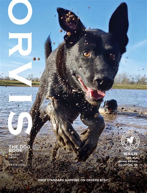 Amazing Cover Dog Contest November2018