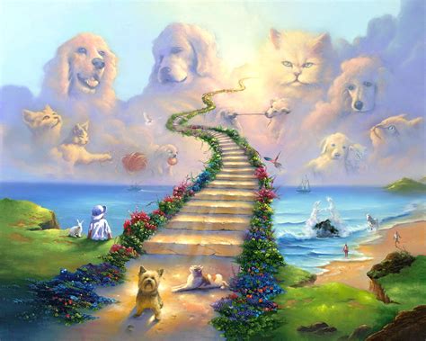 Amazing Cross The Rainbow Bridge