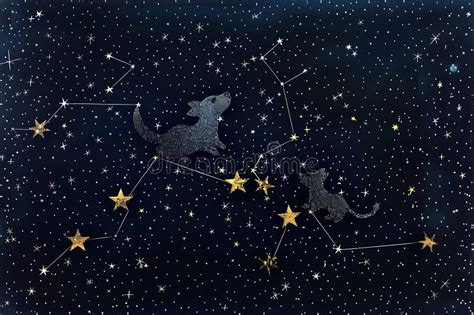 Amazing Dog Constellations