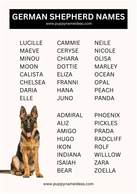 Amazing Dog Name German Shepherd