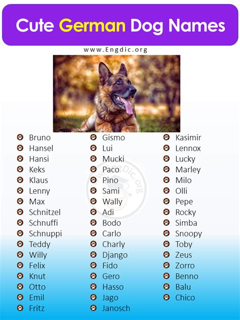 Amazing German Dog Names