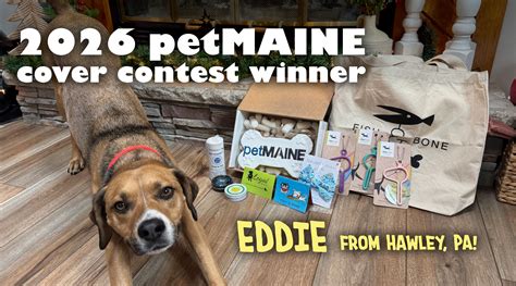 Amazing January Cover Dog Contest