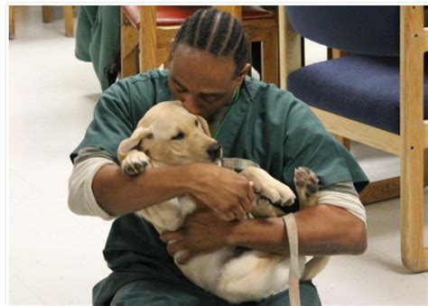 Amazing Minnesota Prisoners Help Train Service Pups