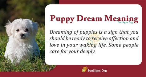 Amazing Puppy In Dream