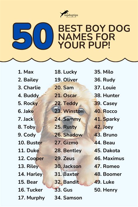 Amazing Puppy Names Boy