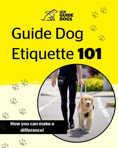 Amazing The Good Dogs Guide To Patio Etiquette