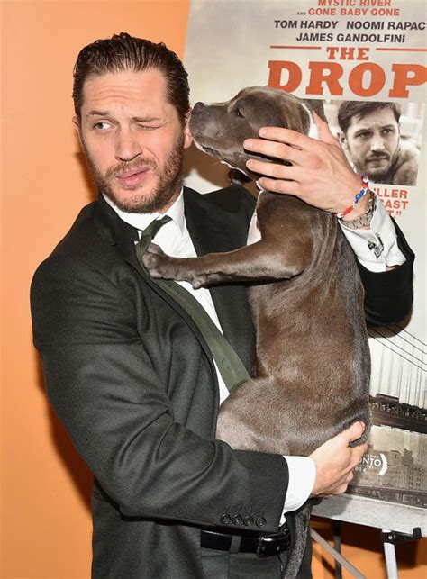 Amazing Tom Hardy Dogs