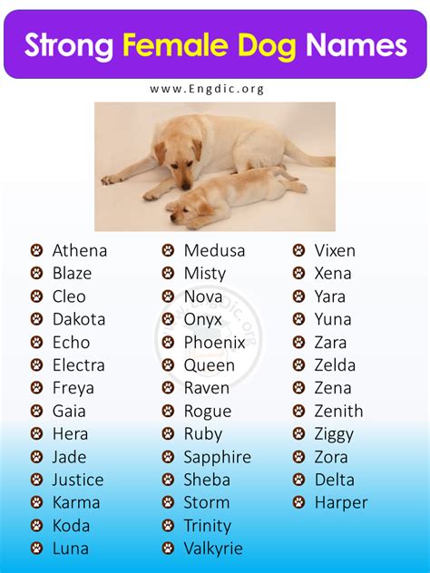 Amazing Tough Dog Names Female