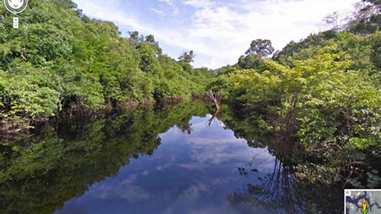 Amazon Rainforest Communities Added To Google Street View., Images