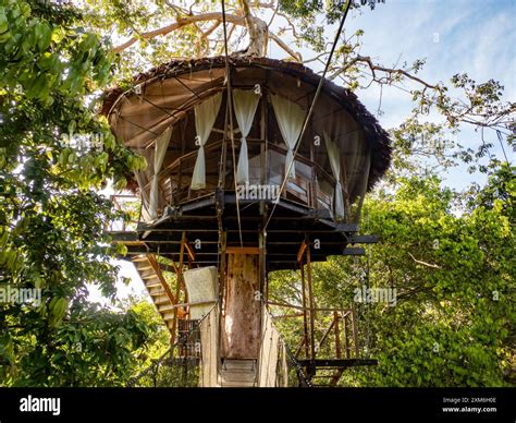 Amazon Accommodation