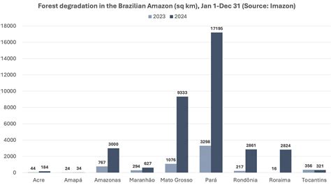 Amazon Rainforest Challenges