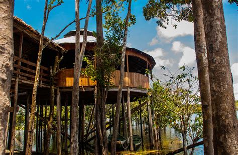 Amazon Rainforest Lodges