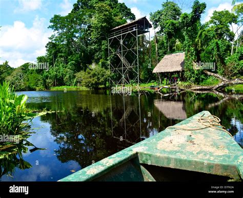 Amazon River Iquitos