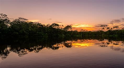 Amazon River Photography
