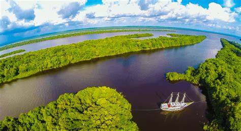 Amazon River Tour Manaus
