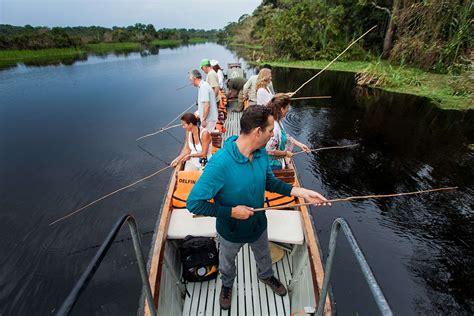 Amazon River activities