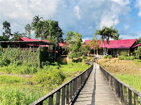 Amazon Tour Operator