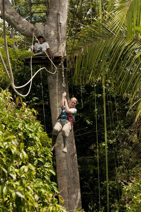 Amazon Zipline Canopy