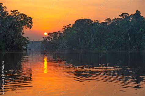Amazon basin sunset