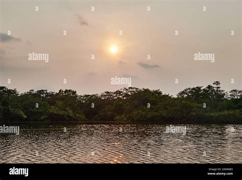 Amazon sunset wildlife
