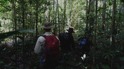 Amazon tour improvements