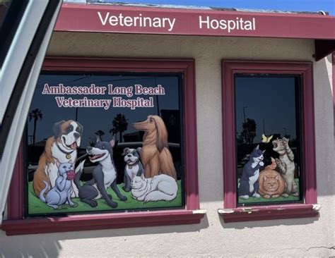 Top-Quality Veterinary Care in Long Beach: Discover Ambassador Animal Hospital