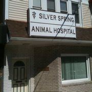 Expert Veterinary Care in Silver Spring MD | Ambassador Animal Hospital