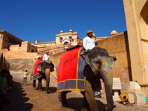 Amber Fort Elephant Ride