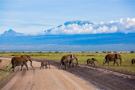 Amboseli
