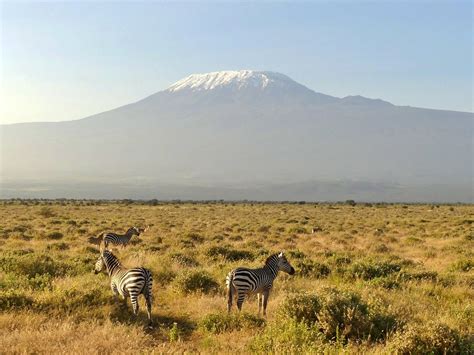 Amboseli Advantages