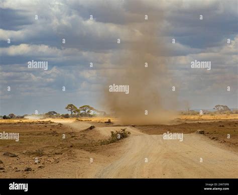 Amboseli Dust