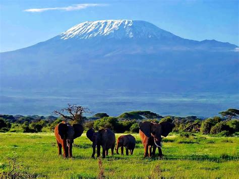Amboseli National Park Guide