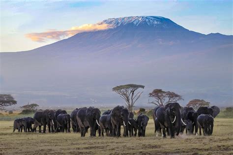 Amboseli Photography Tips