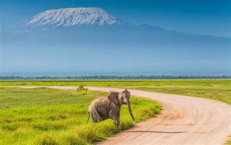 Amboseli Planning