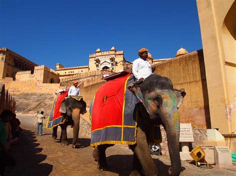 Amer Fort Elephant Ride