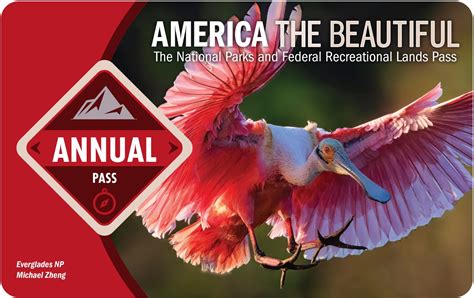 The Majesty of America Unveiled: Discovering the Beauty of its Scenic Byways with the America is Beautiful Pass