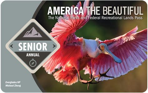 Uncover the Majesty of America with the Scintillating Senior Pass - A Gateway to Nature's Magic!