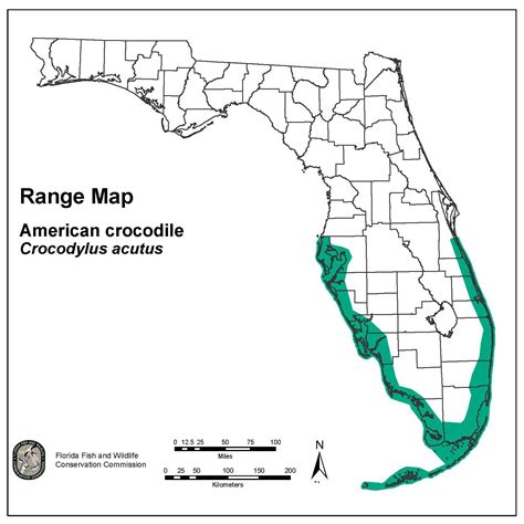 Range of American crocodiles and caimans in Florida. Download