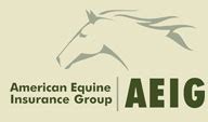 American Equine Insurance