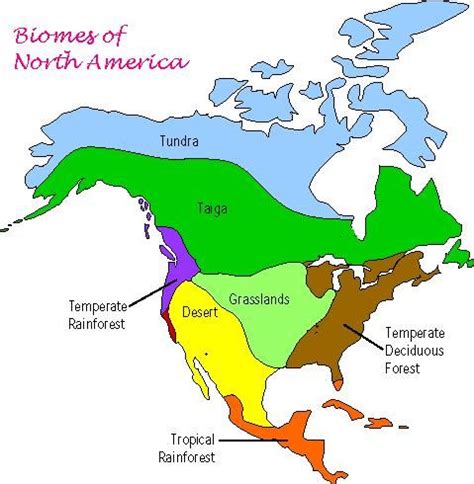 North American Biomes ca. 2049 imaginarymaps
