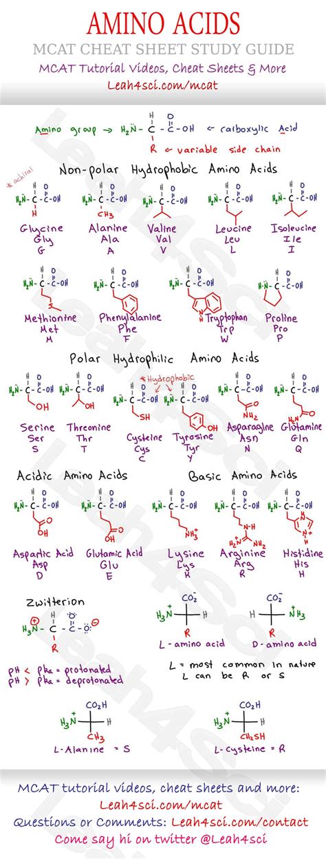Amino Acids Mcat Chart