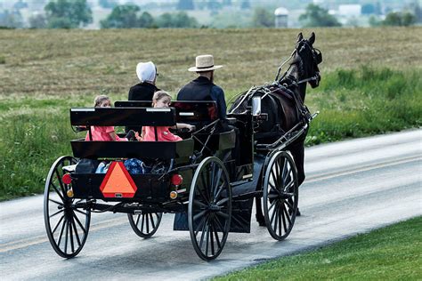 Amish Buggy