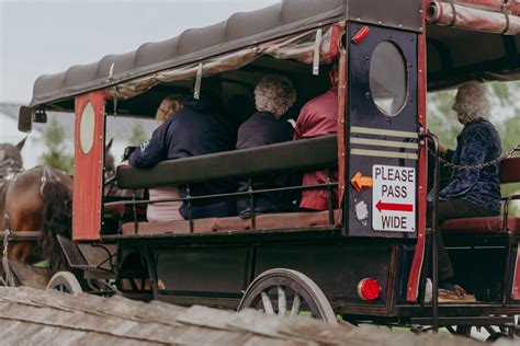 Amish Buggy Ride