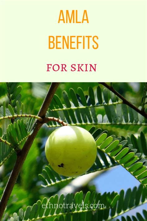 Discover the Radiant Elixir: Unveiling the Miraculous Amla Benefits for Skin