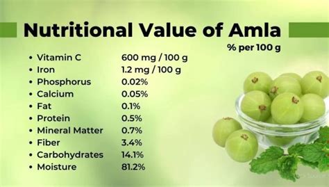 Amla Oil Composition Breakdown: Why It Works