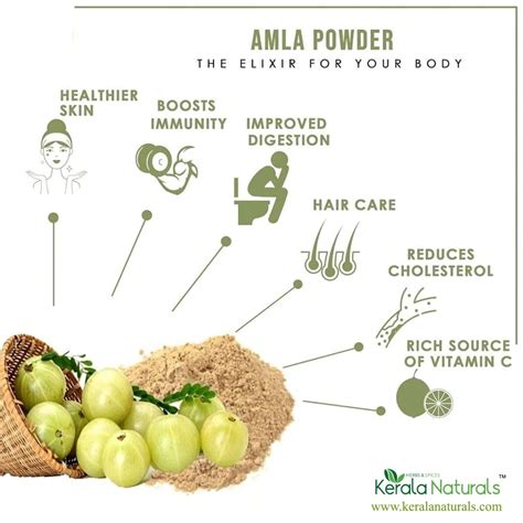 Discover the Incredible Skin Benefits of Amla Powder