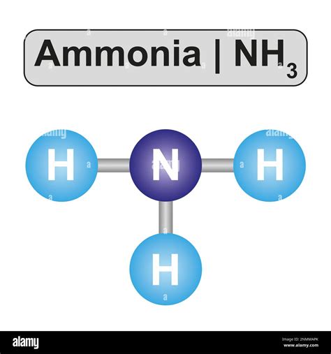 Ammonia & Pregnancy: Products to Avoid Now.